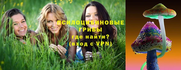 молекула духа Беломорск
