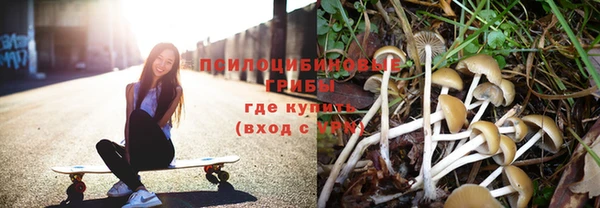 молекула духа Беломорск