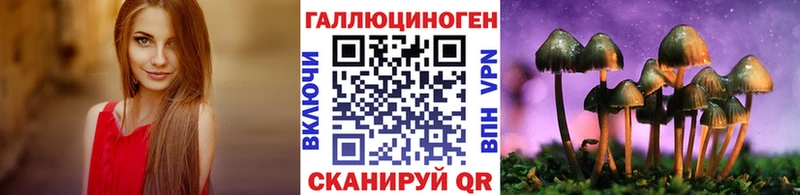 Псилоцибиновые грибы Psilocybine cubensis  MEGA зеркало  Горно-Алтайск  наркотики 