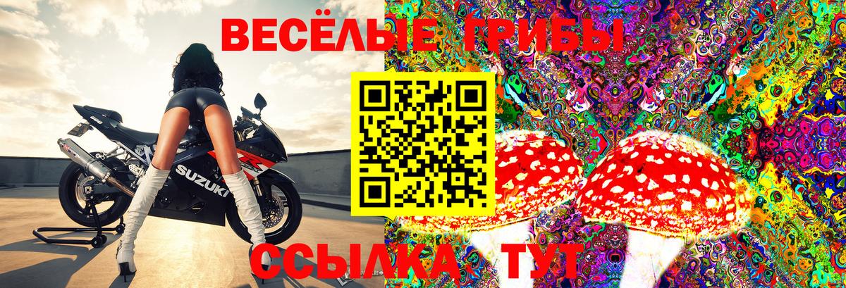 Псилоцибиновые грибы ЛСД Горно-Алтайск