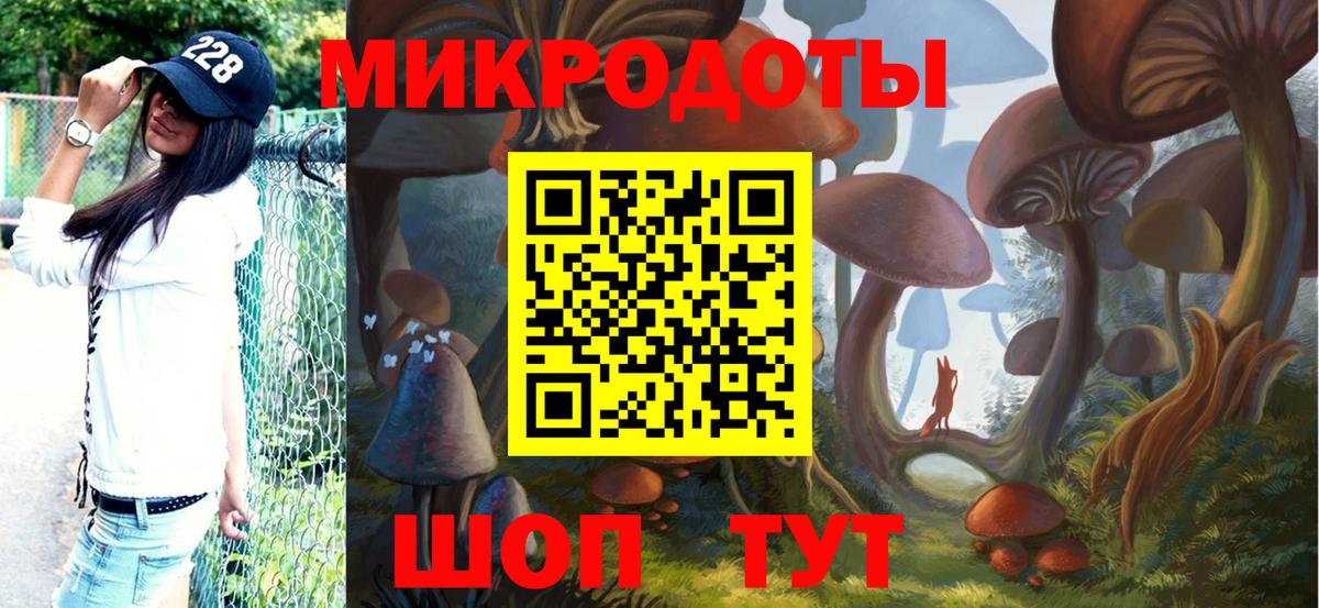 купить наркотики цена  Псилоцибиновые грибы Cubensis  Вход с VPN  Горно-Алтайск 