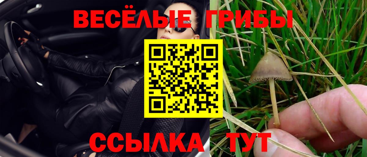 Галлюциногенные грибы ЛСД  Горно-Алтайск 