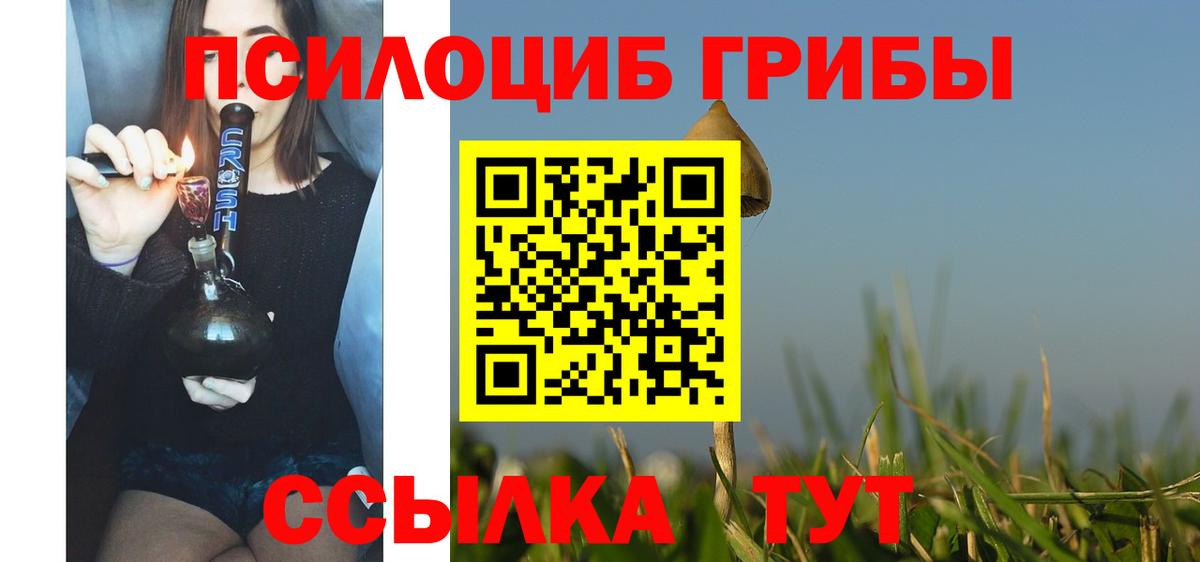 Псилоцибиновые грибы Горно-Алтайск