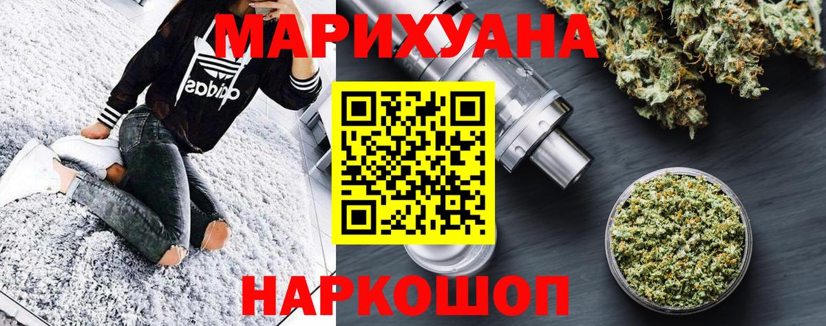 Бошки марихуана план  Канабис AK-47  Бошки Шишки сатива  Горно-Алтайск 